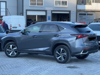 Lexus NX Series foto 5