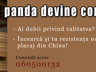 Placaj de calitate, Фанера / Fanera Fort  foto 1