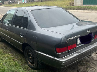 Nissan Primera 2.0 Piese foto 3