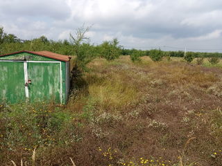 Vind 11 ari pentru constructiei in s.Chetrosu ,alaturi linia electrica si vecini. foto 3