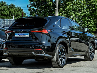 Lexus NX Series foto 5