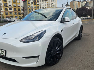 Tesla Model Y foto 4