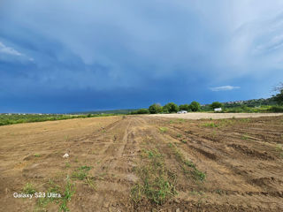 Se Vinde 1.15 ha prima linie Tohatin 8km de la Ciocana foto 5