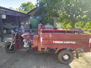 Tiger TR6-200CC foto 2