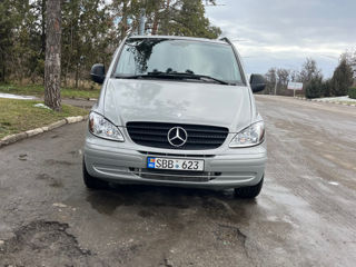 Mercedes Viano foto 5