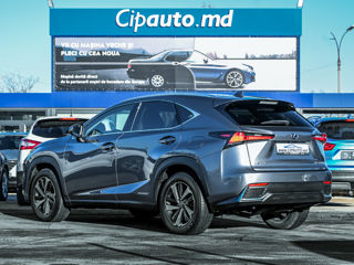 Lexus NX Series foto 5