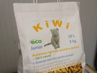 KiWi asternut igienic pisici, 13 lei kg foto 6