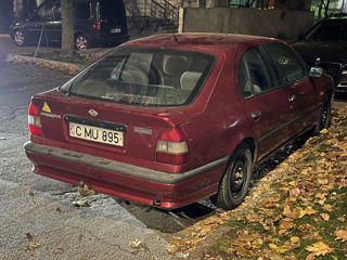 Nissan Primera foto 9