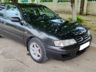 Nissan Primera foto 8