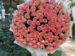 101 trandafiri de la 899 mdl 101 роз доставка цветов livrare flori flowers delivery foto 9