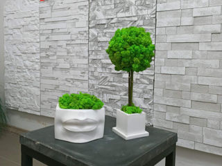 Obiecte de decor pentru casa si birou.Ghivece,vaze,suvenire.Topiary.Горшки,кашпо и сувениры. foto 11