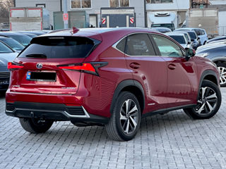 Lexus NX Series foto 3