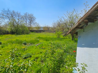 Se vinde casa in satul chiperceni foto 8
