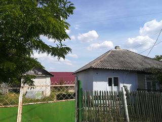 Se vinde casa pe str. P.Zadnipru si 1/2 de casa pe str. M. Hincu foto 2