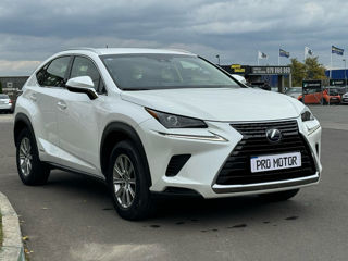 Lexus NX Series