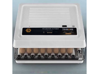 Incubator MS-70  - 3 rate 0% - Livrare - Credit - Transfer - Electron.Md