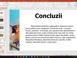 Proiect PowerPoint , PDF , la orice materie in orice limbă foto 4