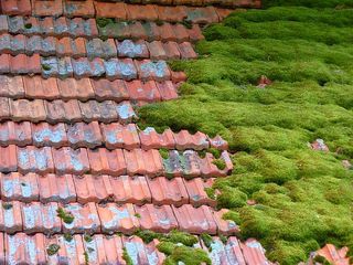 Покраска крыши / vopsirea acoperisului foto 8