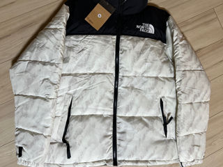 North Face Scurta