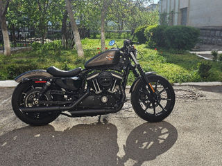 Harley - Davidson Sportster IRON 883 foto 1