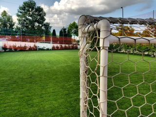 Piscina, gratar cu terasa, teren de fotbal foto 5