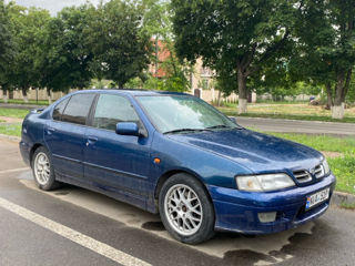 Nissan Primera foto 2