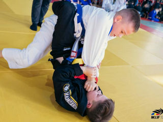 Jiu Jitsu foto 7