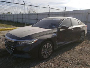 Honda Accord foto 6