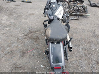 Harley - Davidson Fls Softail Slim foto 6