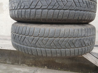 Продаю 2-шт. шины pirelli без шишек и порезов без пробега по МД. .DOT 2519 foto 3