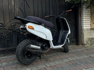 Gilera Typhoon foto 2