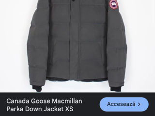 Scurta Canada Goose foto 10