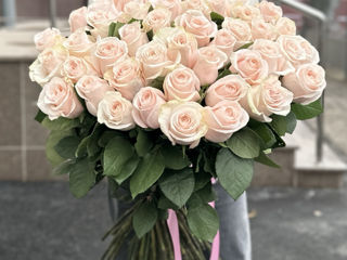 Trandafiri premium olandezi de la 37 mdl Livrare flori 24/24 доставка цветов flowers delivery foto 5