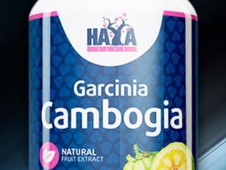 Garcinia cambogia гарциния камбоджийская – тропический фрукт foto 1