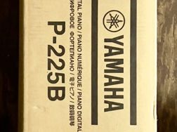 Yamaha P-225B