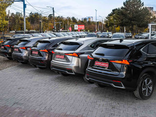 Lexus NX Series foto 9