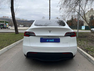 Tesla Model Y foto 4