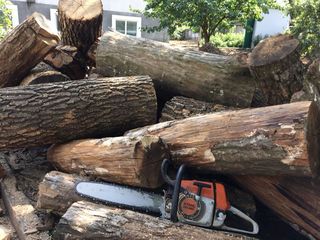 Taierea lemnelor la domiciliu, defrisarea padurilor, aranjarea spatiilor verzi, lucrari la inaltime foto 2