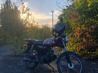 Alpha Moto foto 1