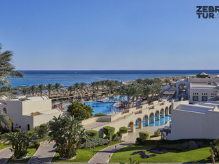 Egipt, Sharm El Sheikh - Jaz Belvedere 5*