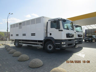 Man TGM 18250 foto 4