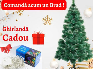 Brad/ pin artificial verde capete albe / зелёная искусственная ёлка/ ель ! foto 5