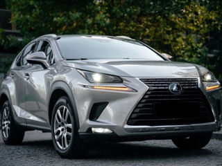 Lexus NX Series