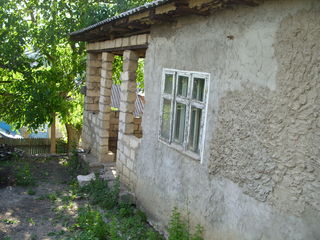 Urgent,urgent! Se vinde casă  în satul Ghidighici. foto 3