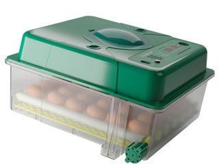 Incubator De Oua Des Champs Eco Profi C-36 - 0b - livrare/achitare in 4rate la 0% / agroteh foto 9