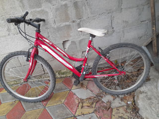 Bicicleta buna foto 2