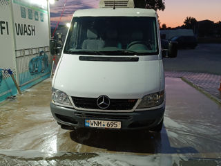 Mercedes Sprinter 313