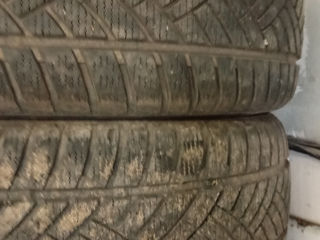 4 штуки 205/55r16