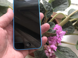 iPhone 5C  16GB  Blue foto 2