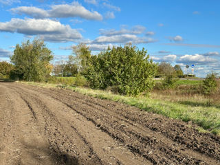 6 ha Traseul  M1 Chișinău-Dubăsari foto 8